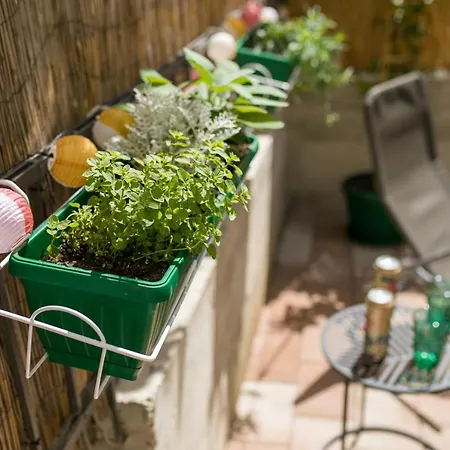 Apartment Downtown Colorful Garden *